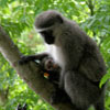 The Garden Route wildlife The Garden Route wildlife
