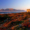 Aerial view of Robben Island